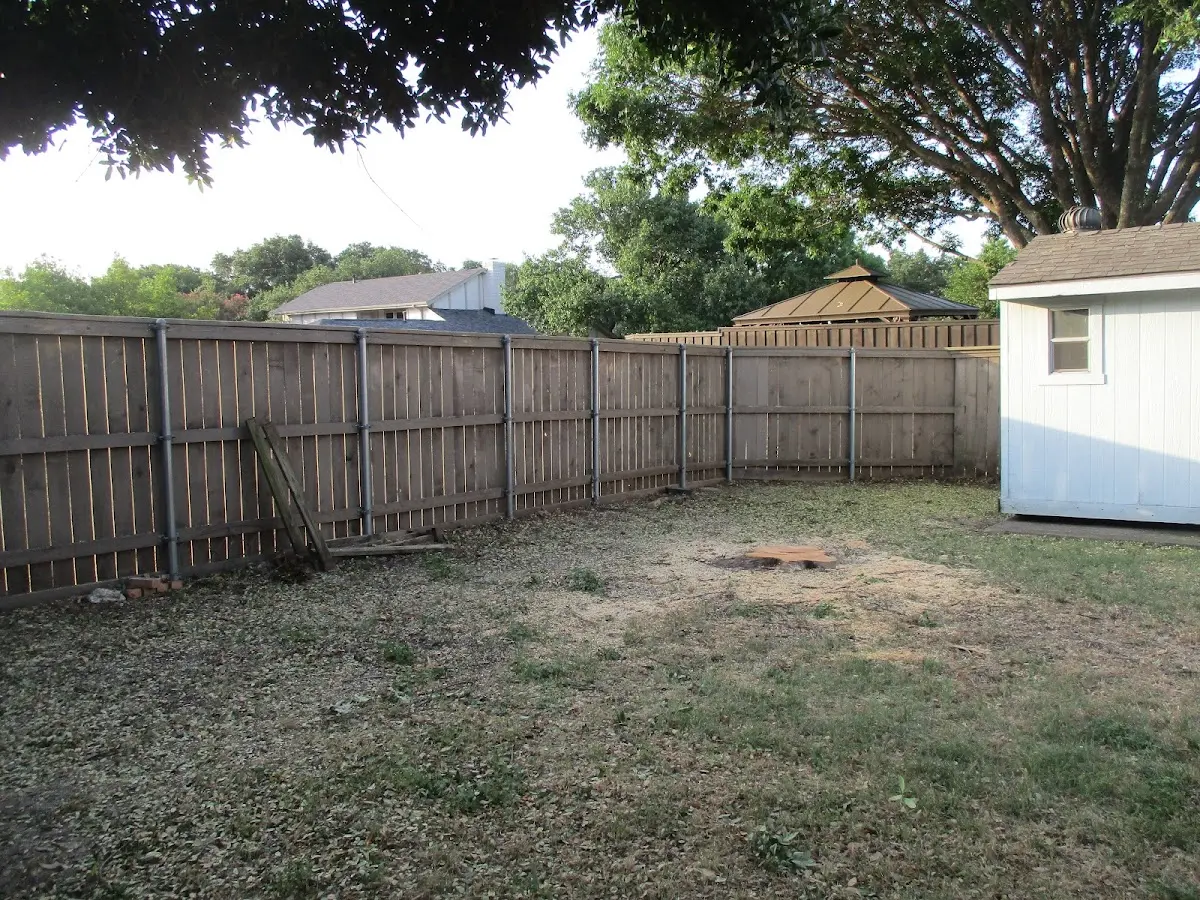 Cleared yard after professional tree removal in Dixons Mills